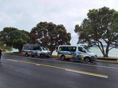 Cathedral Cove and Coromandel Small Group Tours