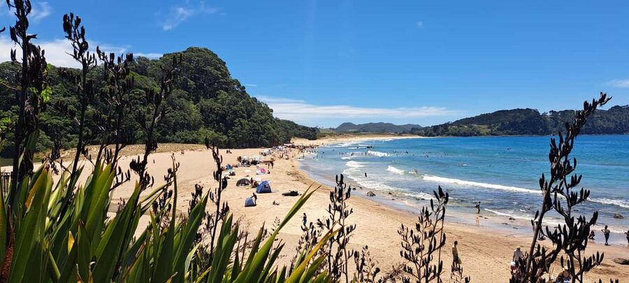 Auckland: Cathedral Cove and Coromandel Small Group Tours - Who should book this Coromandel day tour?