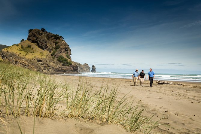 Auckland City and West Coast Full Day Tour - From Auckland’s Harbor to the West Coast