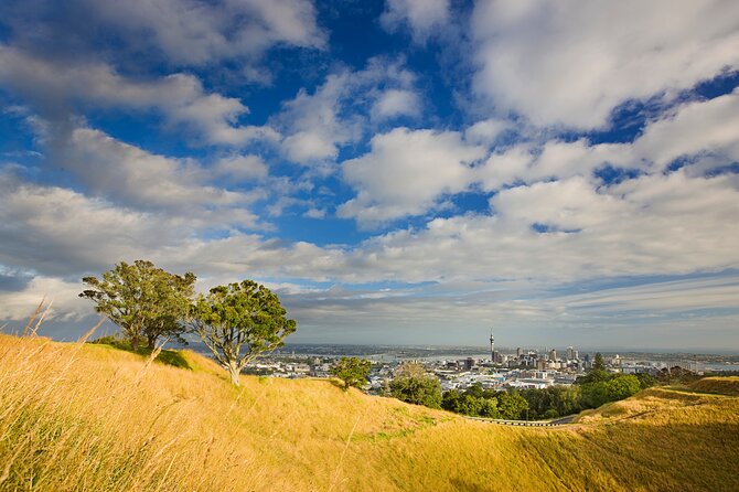 Auckland City and West Coast Full Day Tour - Arataki Visitor Centre and the Rainforest