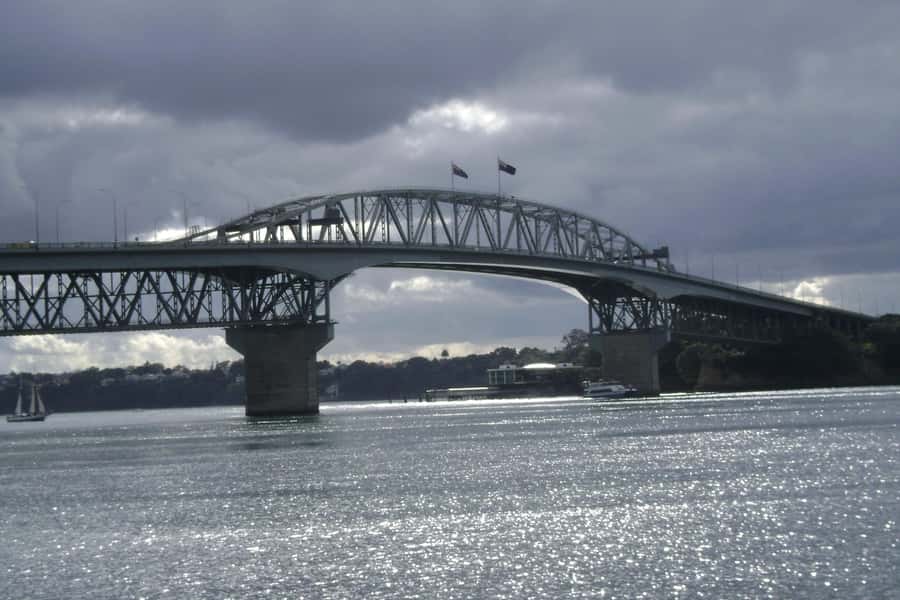 Auckland City, Beaches & Rainforest Premium Small Group Tour - Auckland’s morning sights by comfortable vehicle