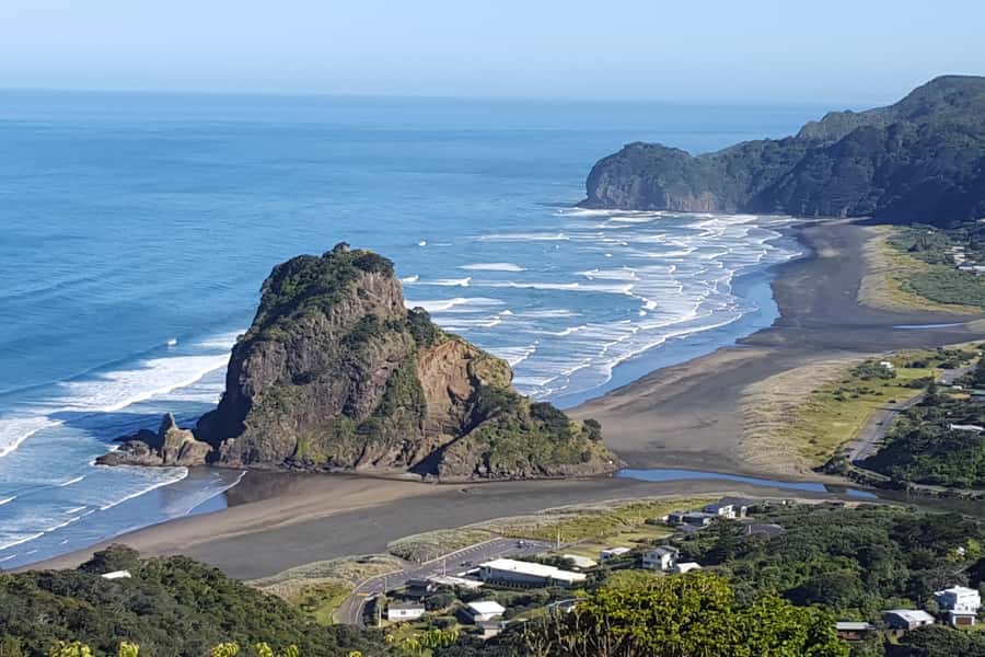 Auckland City, Beaches & Rainforest Premium Small Group Tour - Easy bush tracks through the Waitakere Ranges