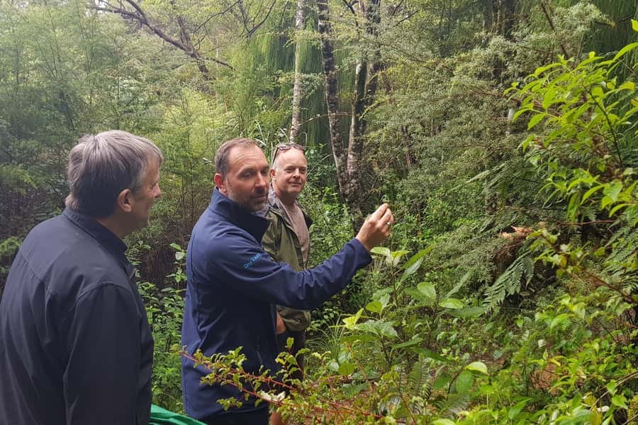 Auckland City, Beaches & Rainforest Premium Small Group Tour - How the small-group setup affects the day