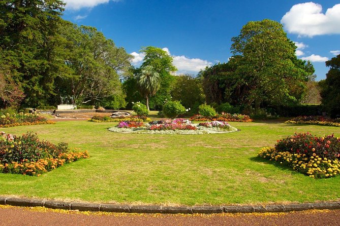 Auckland City Discovery Experience - Private Tour From Auckland - Mount Eden and the easy volcanic walk