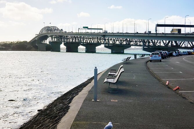 Auckland City Halfday Guide Tour - What Kay adds to a private tour