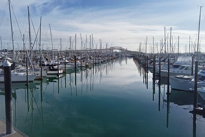 Auckland City Halfday Guide Tour - Auckland Harbour Bridge: a short look at a city landmark