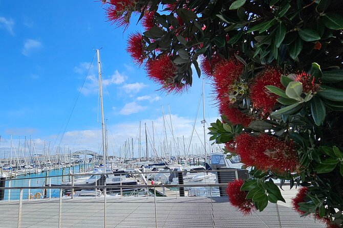 Auckland City Halfday Private Tour - Harbour Bridge and Westhaven Marina