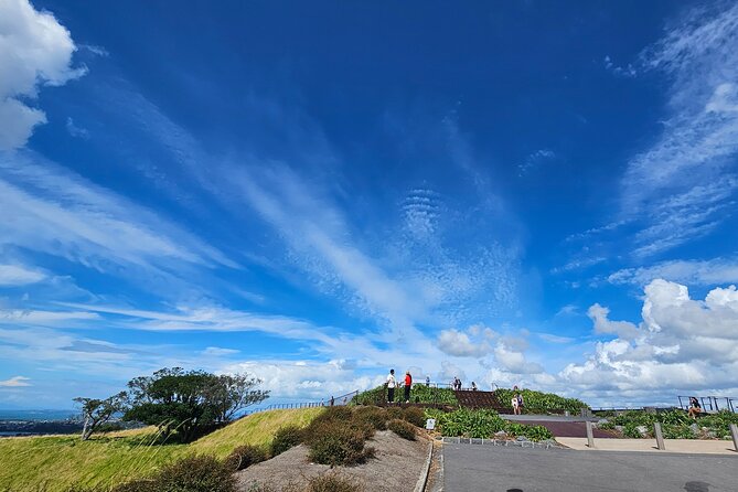 Auckland City Halfday Private Tour - What the private format changes