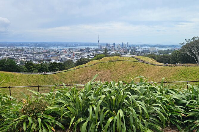 Auckland City Halfday Private Tour - Who gets the best value