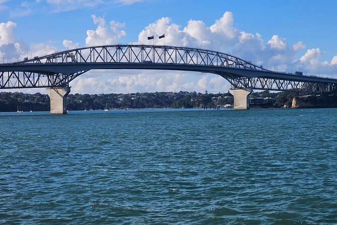 Auckland City Halfday Tour - Kauri Glen Reserve: native forest in the city