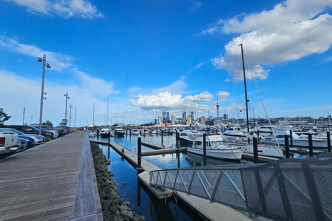 Auckland City Halfday Tour - How the $111.70 price works for you