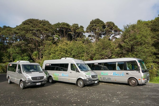 Auckland City Highlights, Afternoon Piha Beach & Rainforest Tour - Piha Beach and the west coast finish