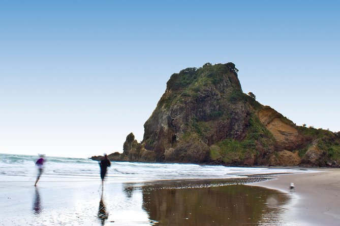 Auckland City Highlights, Afternoon Piha Beach & Rainforest Tour - Mount Victoria and Narrow Neck Beach