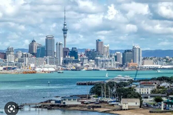 Auckland City Highlights Full Day Tour - The guide and group size shape the experience
