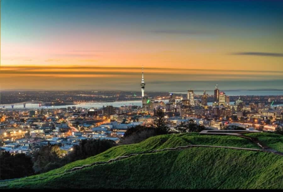 Auckland City Highlights Half Day Tour - Key points at a glance
