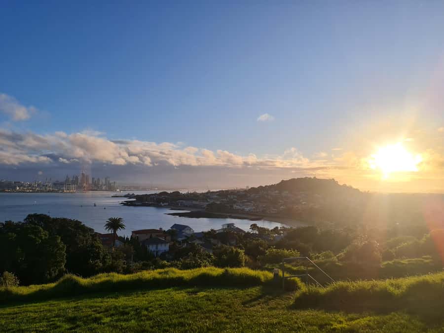 Auckland City Highlights Half Day Tour - A quick Auckland overview for a busy day