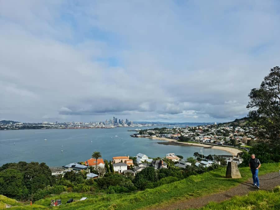 Auckland City Highlights Half Day Tour - Is NZ$95 good value?