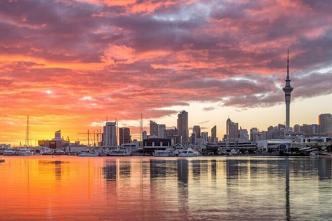 Auckland City Highlights Private Tour - Mission Bay and Auckland’s eastern shoreline
