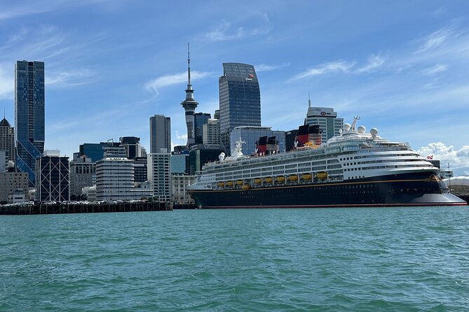 Auckland City Highlights Tour by Car or Van - Auckland Domain: five minutes of green space and Māori context