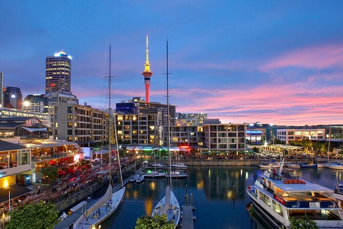 Auckland City Hotel to Cruise Ship Transfer by SUV - What the driver service adds