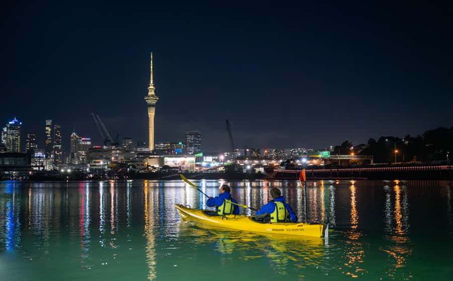 Auckland: City Lights Night Kayak Tour - Key points at a glance