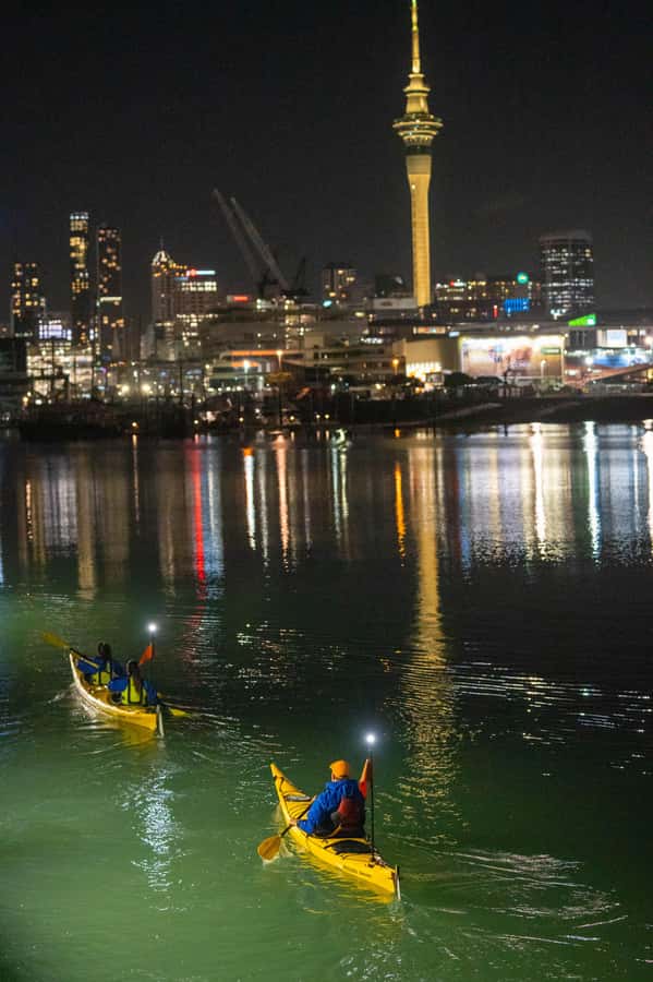 Auckland: City Lights Night Kayak Tour - Paddling beside the Auckland Harbour Bridge