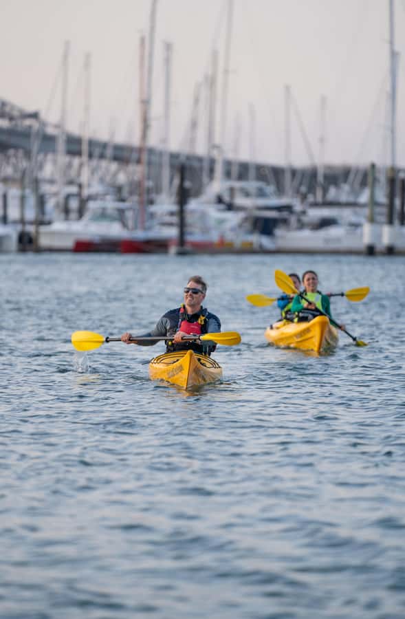 Auckland: City Lights Night Kayak Tour - The small group makes first-time paddling easier