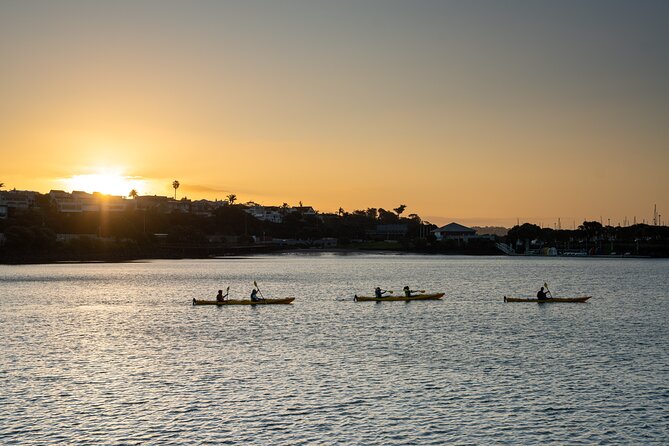 Auckland City Lights Night Kayaking Tour - Why Auckland looks better from the harbor at night