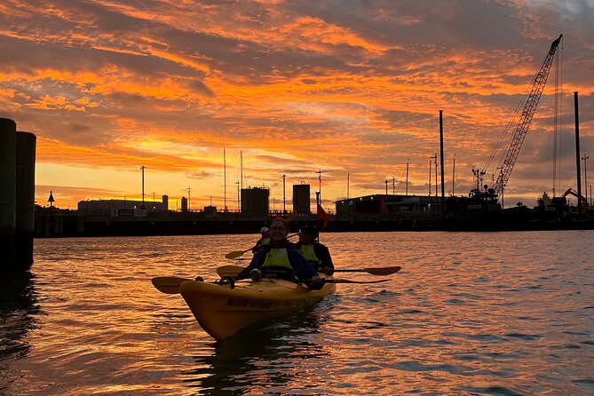 Auckland City Lights Night Kayaking Tour - Under the Sky Tower after sunset