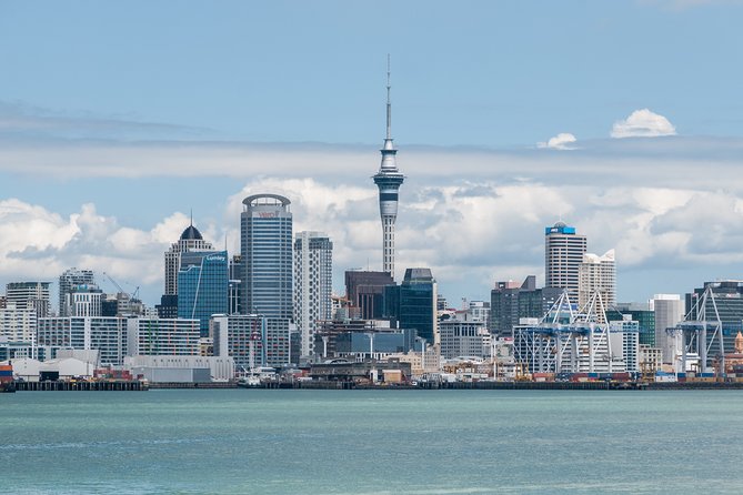 Auckland City & Native Forest Experience - Fully Guided Day Tour - Why this tour works as an Auckland overview