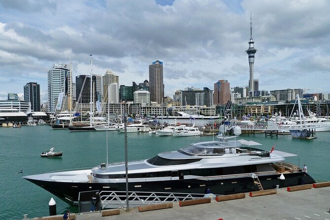 Auckland City Top Sights Half Day Tour - Small Group - The Wintergarden in Auckland Domain