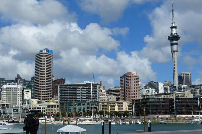 Auckland City Top Sights Half Day Tour - Small Group - What the guide and vehicle add