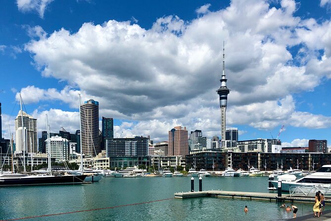 Auckland City Top Sights Half Day Tour - Small Group - Mount Eden, or Maungawhau, above the city