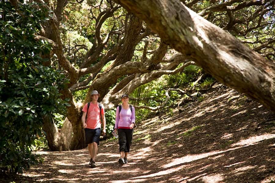 Auckland City & West Coast Luxury Tour - Why This Auckland Tour Covers So Much