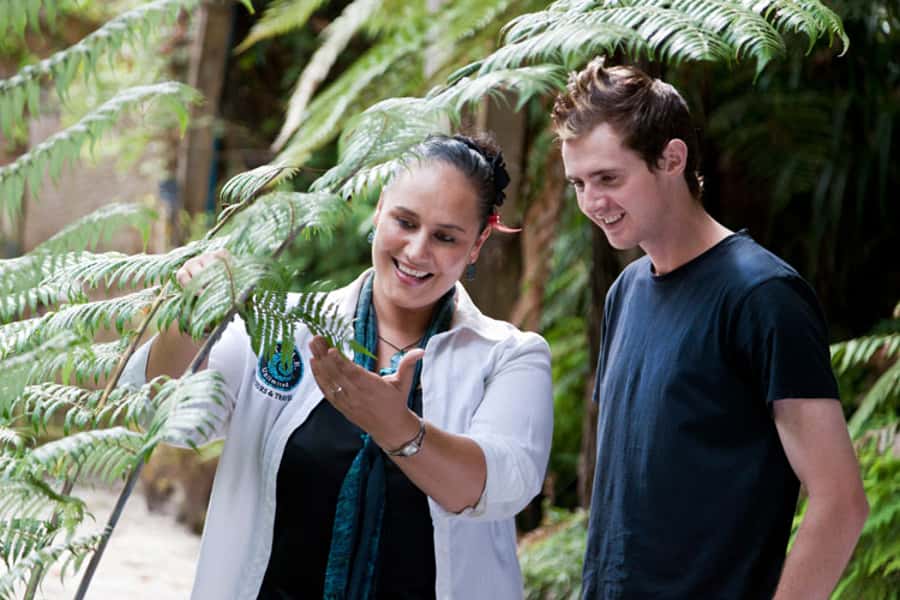 Auckland City & West Coast Luxury Tour - Black and Golden Beaches on the West Coast