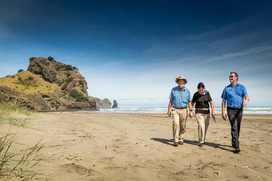Auckland City & West Coast Luxury Tour - Tamaki Drive and Views Across the Gulf