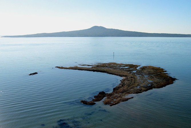 Auckland Coastal Experience - Small Group City & Beach Tour Incl. Wine Tasting - Why this tour gives you a useful first look at Auckland