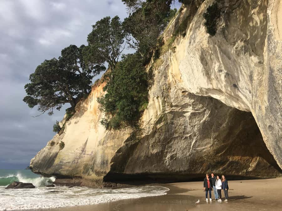 Auckland: Coromandel Day Tour including Hot Water Beach - Why this Coromandel day works so well