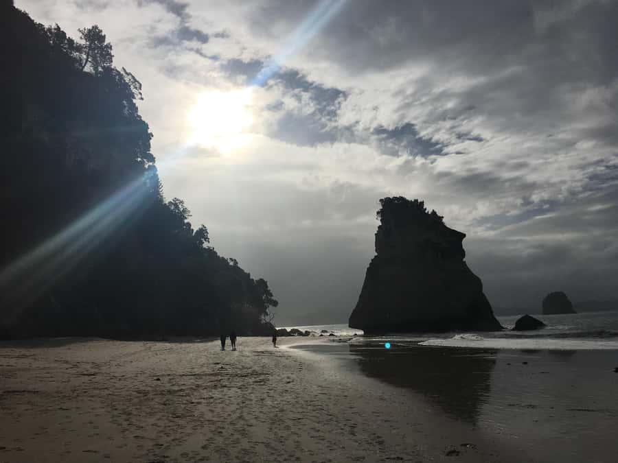 Auckland: Coromandel Day Tour including Hot Water Beach - Hot Water Beach and the low-tide timing