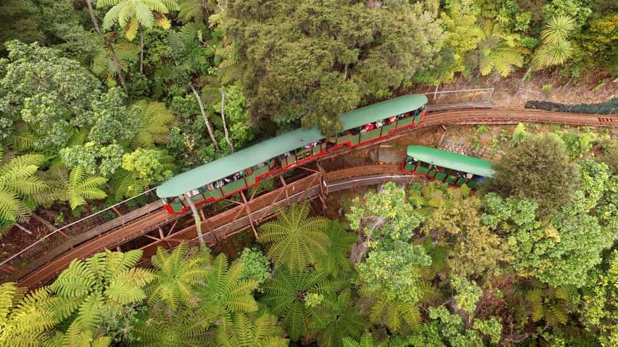 Auckland: Coromandel Driving Creek & Cathedral Cove Day Tour - Key points at a glance