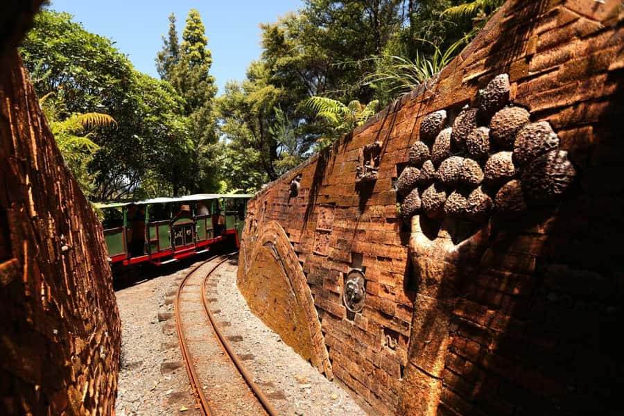 Auckland: Coromandel Driving Creek & Cathedral Cove Day Tour - What the guide adds