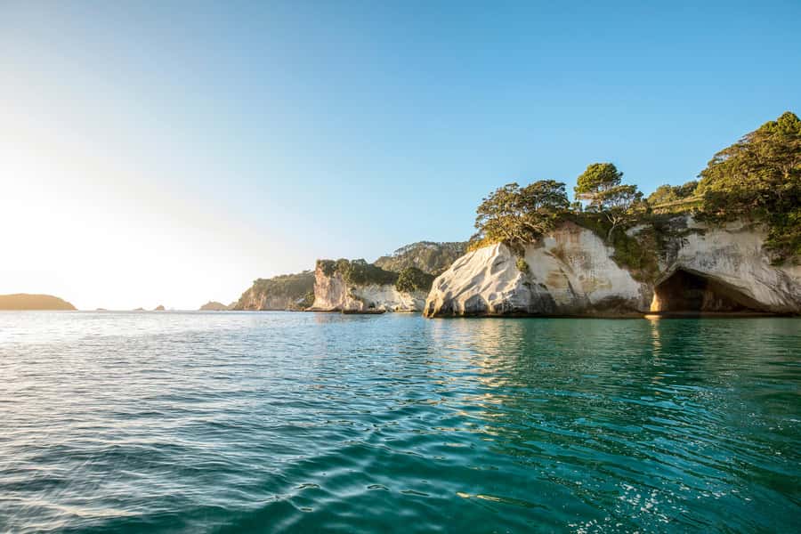 Auckland: Coromandel Driving Creek & Cathedral Cove Day Tour - Who should book this day tour?