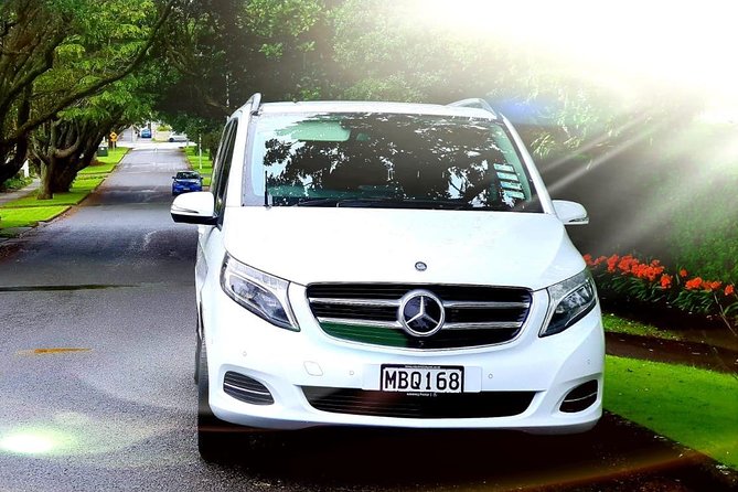 Auckland Cruise/Wharf & Airport Transfers - Key points to know before booking