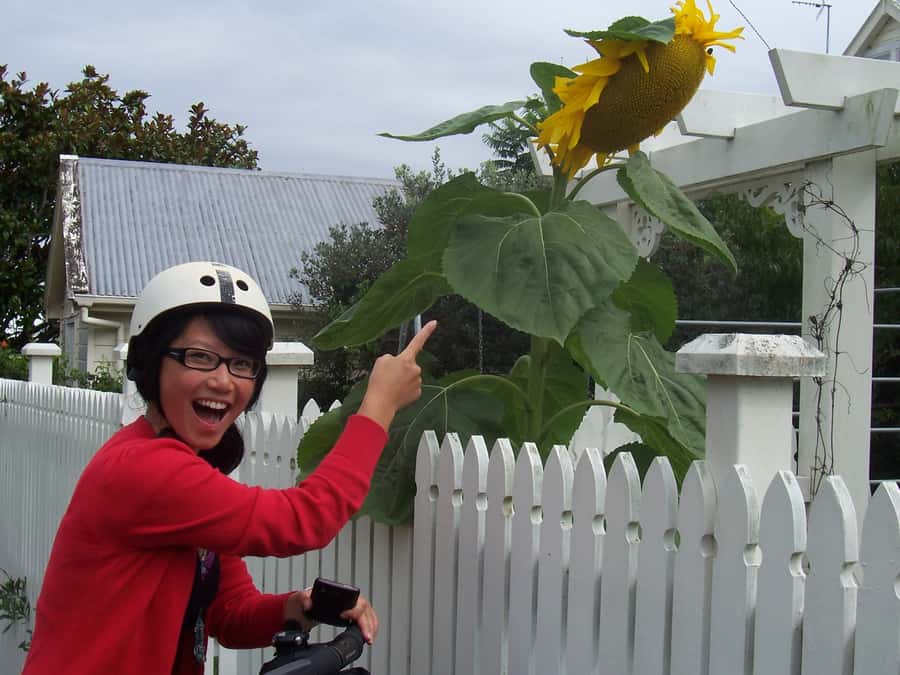 Auckland: Devonport Village Segway Tour - Along the waterfront and volcanic ground