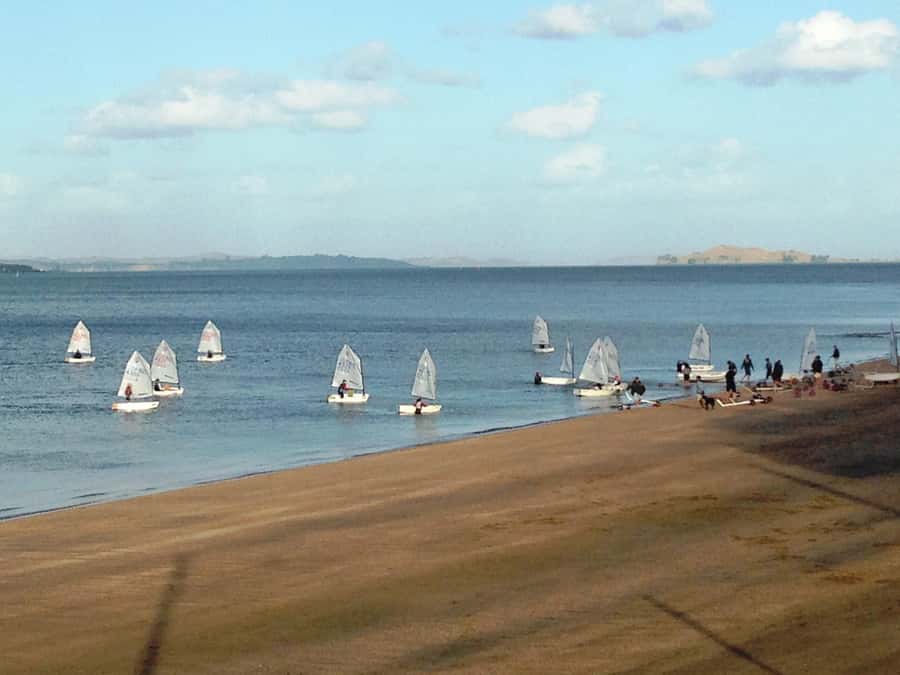 Auckland: Devonport Waterfront Segway - Gliding around Devonport Waterfront