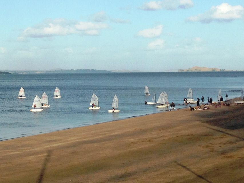 Auckland: Devonport Waterfront Segway - Who should book this Devonport ride