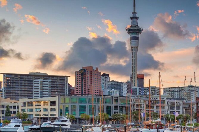 Auckland Downtown Hotel Transfers to/from Cruise Ship in Minivan - Booking and Cancellation Details