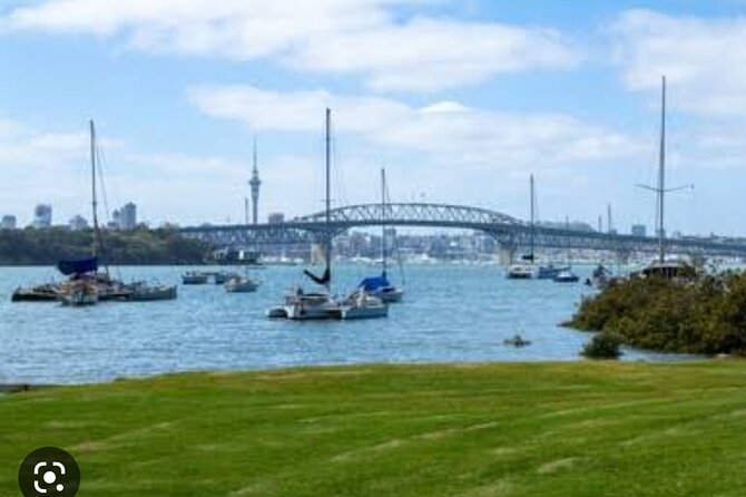 Auckland Full Day Attractions & Museums Tour - Wintergardens in Auckland Domain