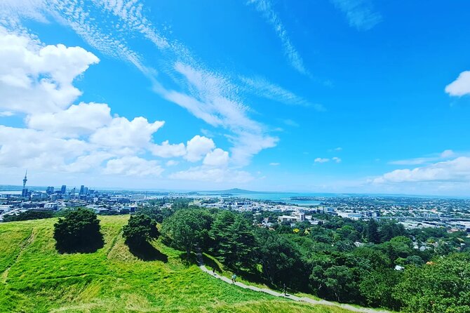 Auckland Full Day Attractions & Museums Tour - Holy Trinity Cathedral in 30 minutes