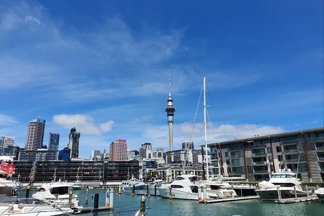 Auckland Full Day Attractions & Museums Tour - Auckland Art Gallery in 90 minutes